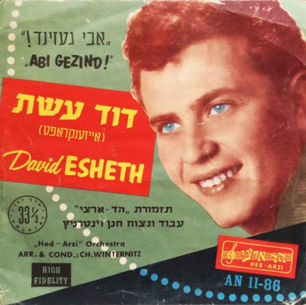 David Eshet - Abi Gezind! (10")