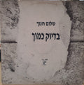Shalom Hanoch - בדיוק כמוך (12")