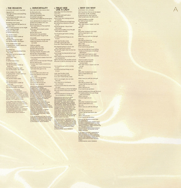 Céline Dion - Let's Talk About Love (2xLP) - Discogs image 4