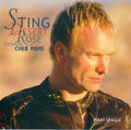 Sting Featuring Cheb Mami - Desert Rose (CD)