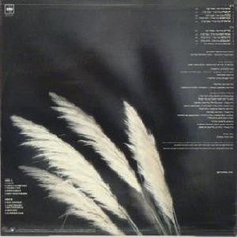 הראלה בר = הראלה בר - Velvet = קטיפה (LP) - Discogs image 2
