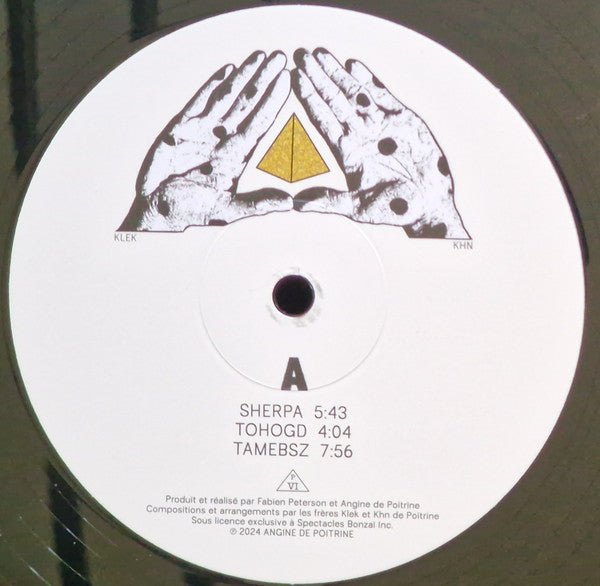 Angine De Poitrine - Vol.1 (LP) - Discogs image 3