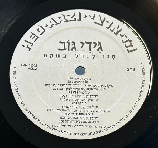 Gidi Gov - תנו לגדול בשקט (LP) - Discogs image 4