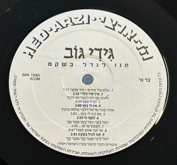 Gidi Gov - תנו לגדול בשקט (LP) - Discogs image 3