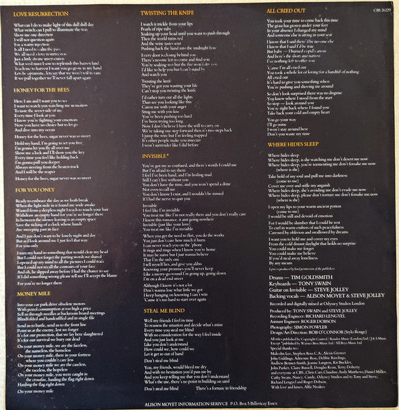 Alison Moyet - Alf (LP) - Discogs image 5