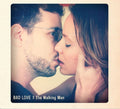Walking Man, The - Bad Love (CD)
