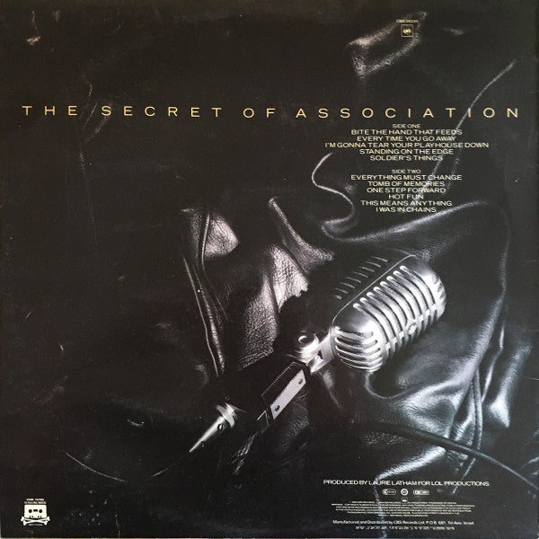 Paul Young - The Secret Of Association (LP) - Discogs image 2