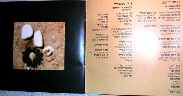 Boaz Sharabi - כשאת נוגעת בי (CD) - Discogs image 5