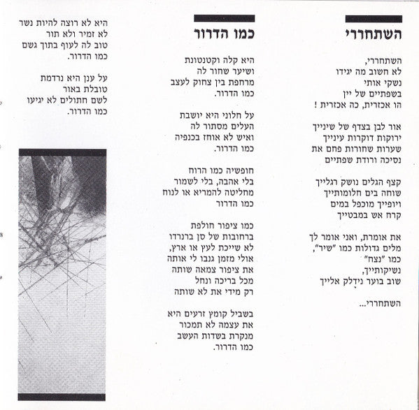 David Broza = David Broza - Broza = ברוזה (CD) - Discogs image 7
