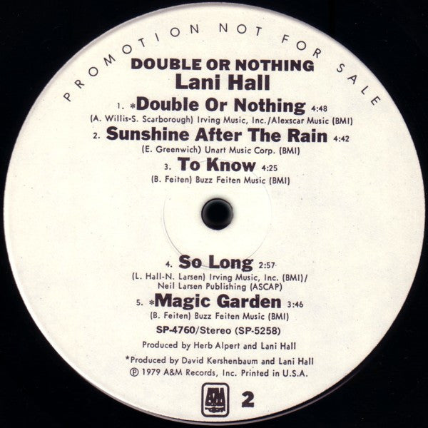 Lani Hall - Double Or Nothing (LP) - Discogs image 4
