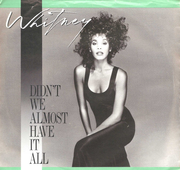 Whitney Houston - Didn't We Almost Have It All (7")