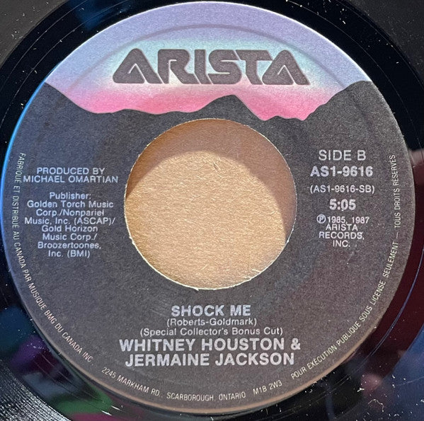 Whitney Houston - Didn't We Almost Have It All (7") - Discogs image 4