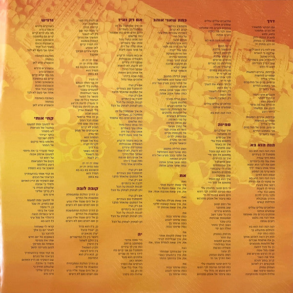 Mosh Ben-Ari - דרך (2xLP) - Discogs image 5