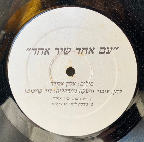 Various - עם אחד שיר אחד (12") - Discogs image 3