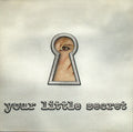 Melissa Etheridge - Your Little Secret (CD)