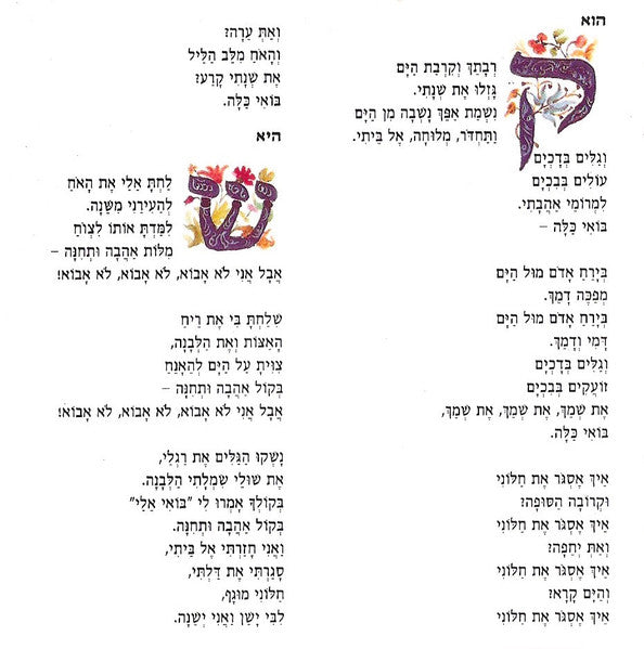 Achinoam Nini, Gil Dor - Achinoam Nini Gil Dor = אחינועם ניני גיל דור (CD) - Discogs image 5